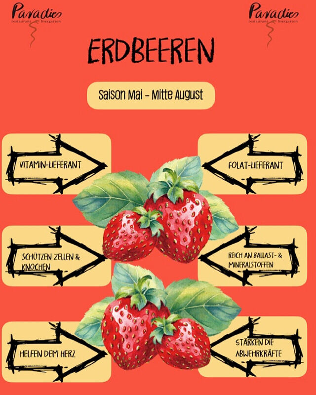 Faktenpost: Erdbeere