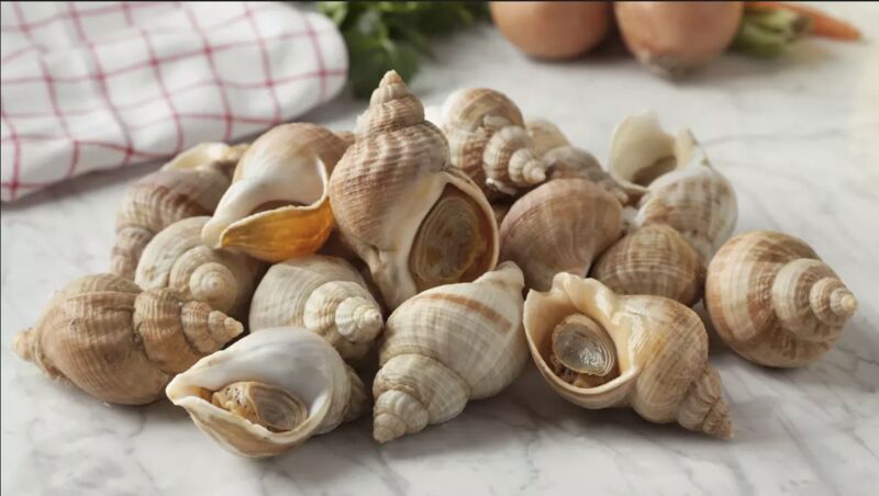 - Bulots Breton non pasteurisé : contient plus de nutriments et préservation du gout ainsi que de la texture