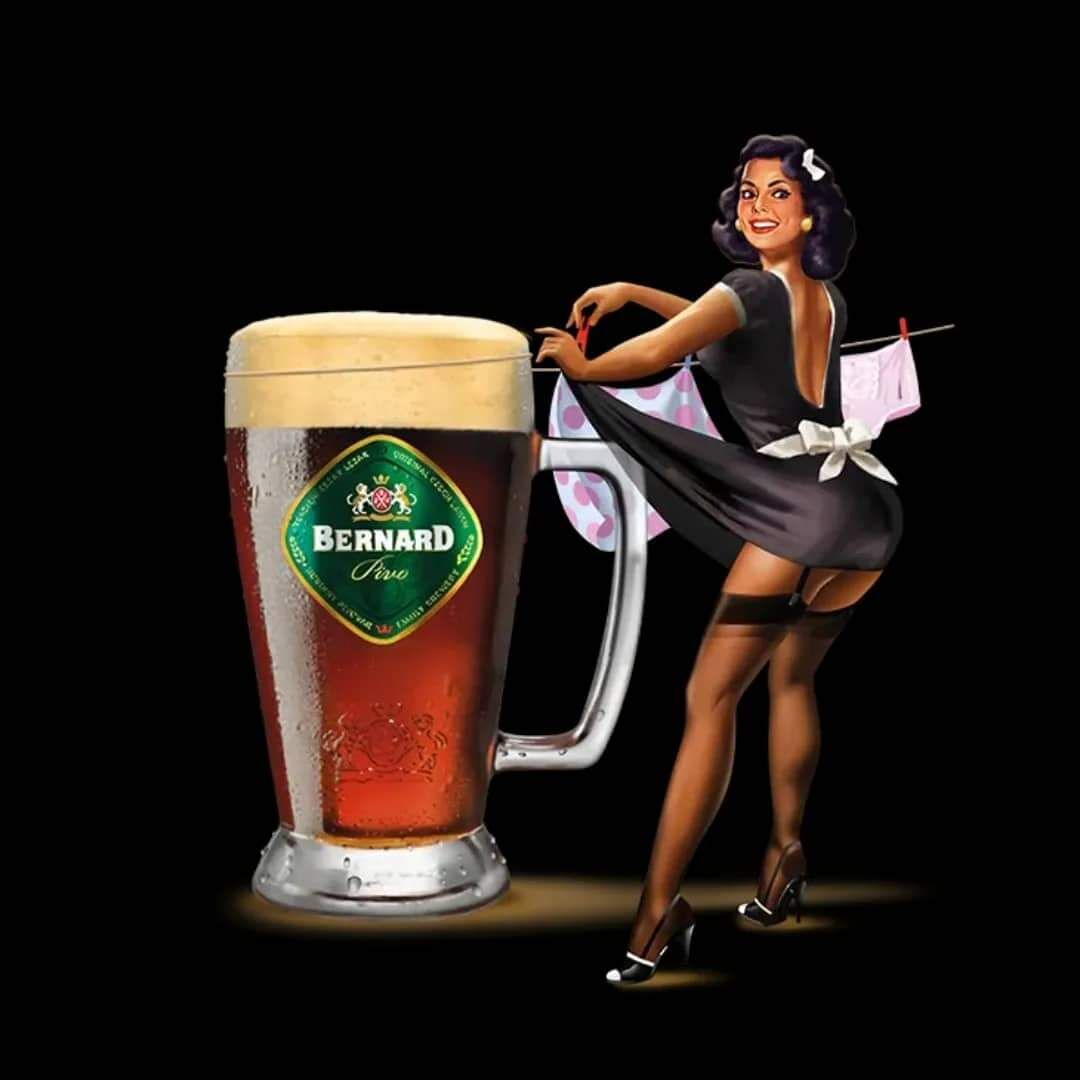 Bernard polotmavý 12°