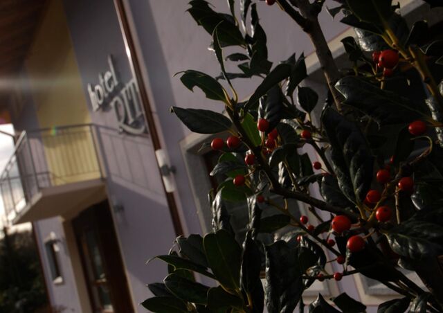 Hotel Da Rita. Il giardino e gli esterni