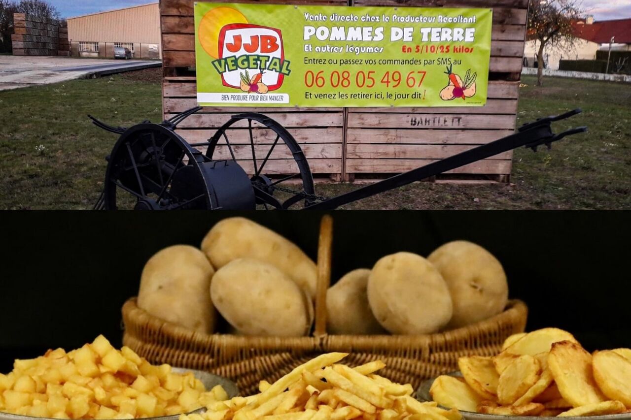 Nos frites
