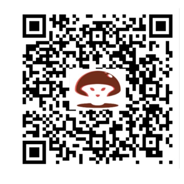 Fournisseur de Champignons 