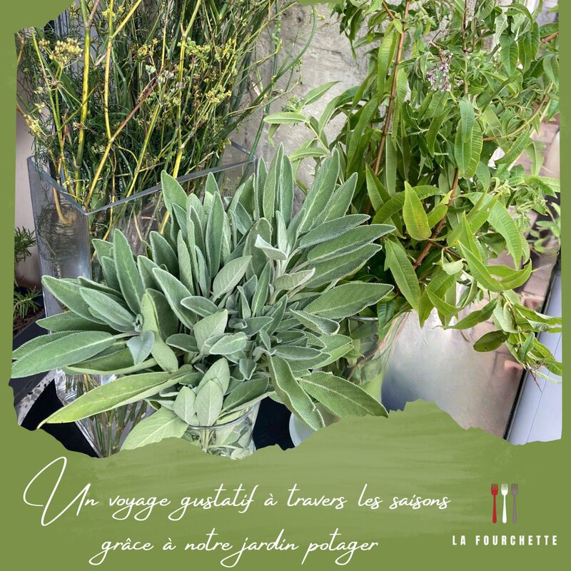 Un voyage gustatif à travers les saisons grâce à notre jardin potager