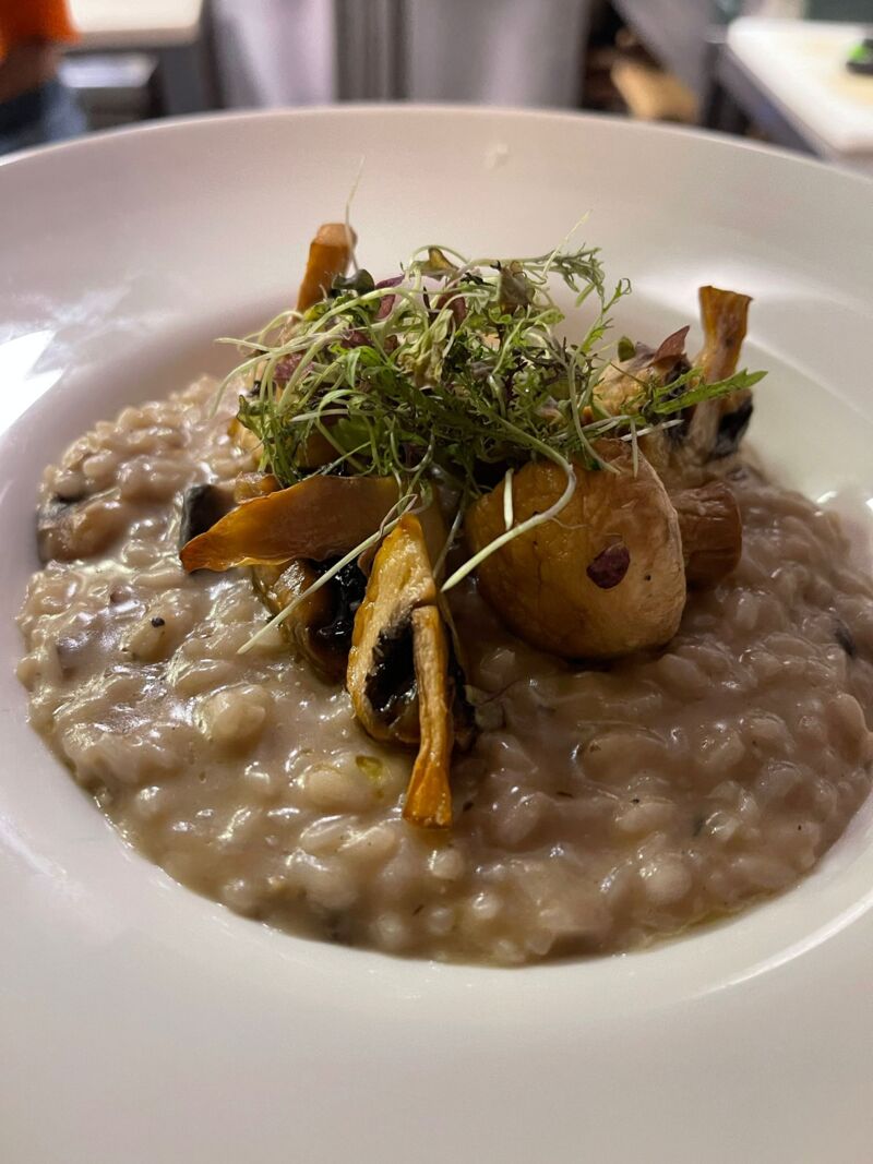 Risotto de Cogumelos 