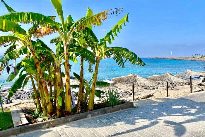 Chiringuito Bar Tropical, bares y pubs en Yaiza