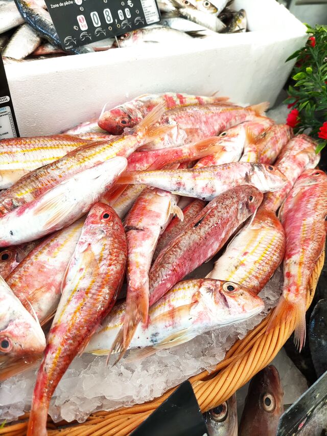 Arrivage de rouget barbet de la criée de Boulogne sur Mer 
