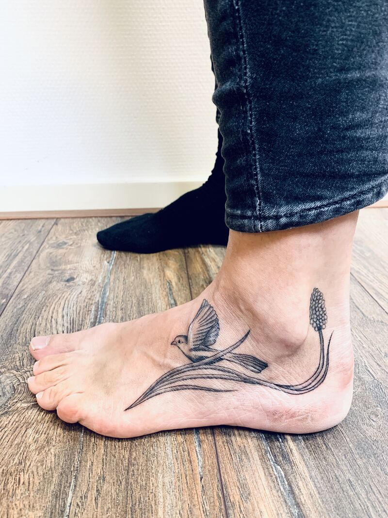 Vogeltje op blauwe druif - voor Anna