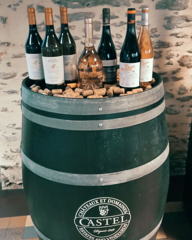 Dégustation des Vins Maison Castel 🍷