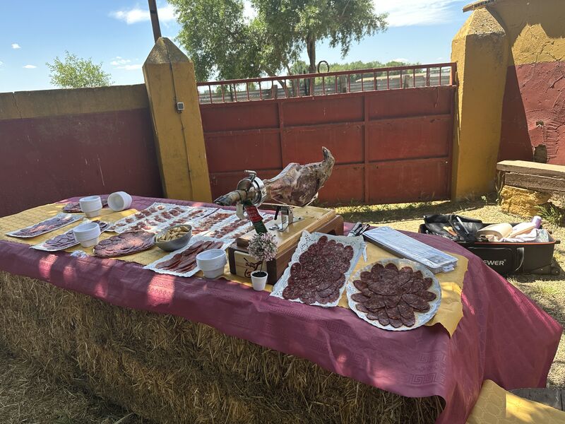 Cortes de Jamón y Embutidos 
