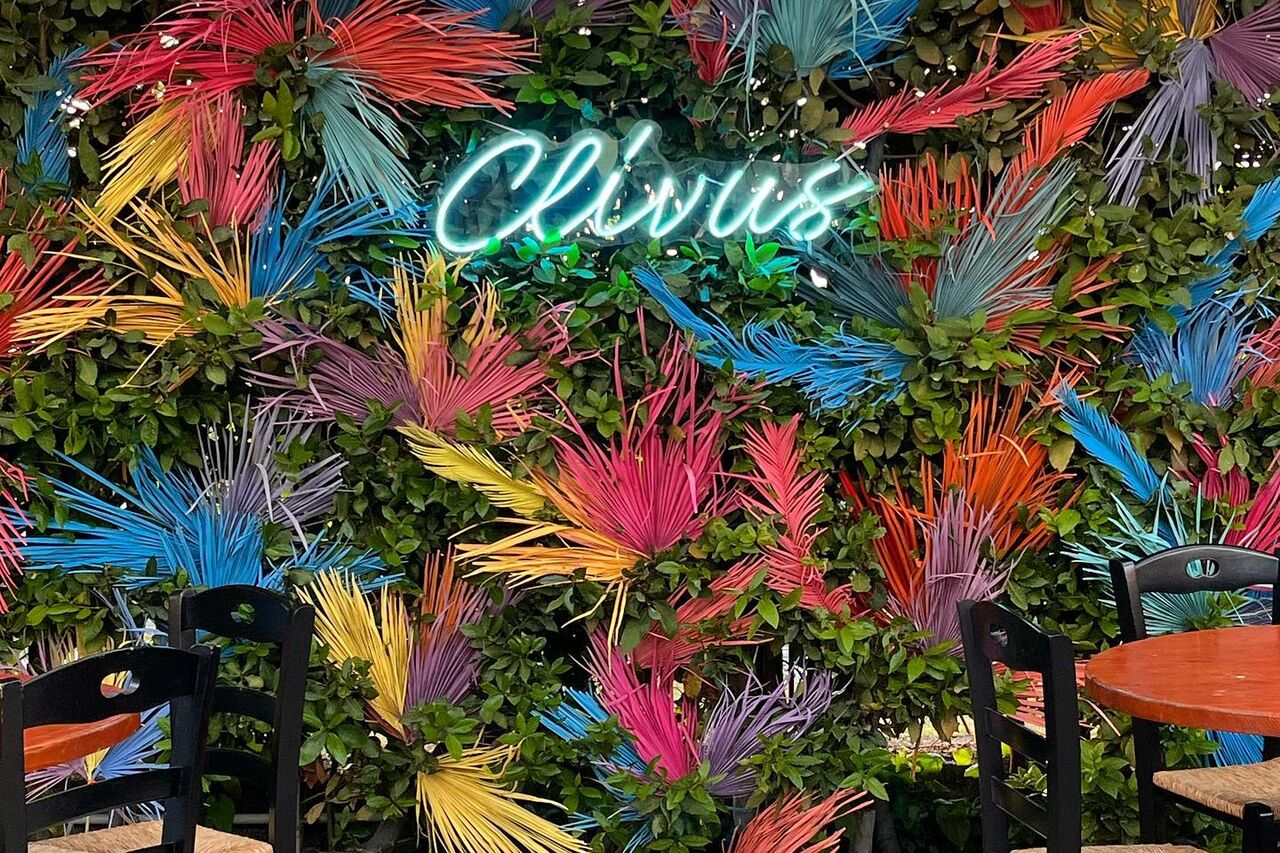 Clivus