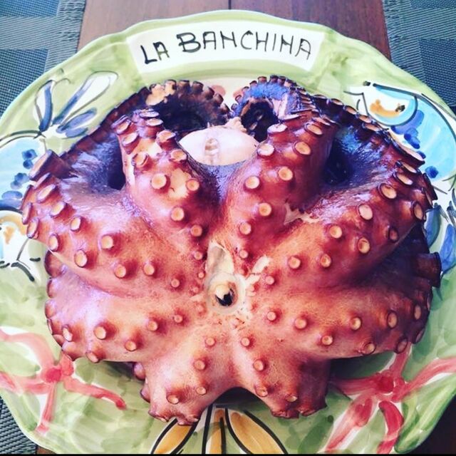 Polpo Torre a Mare 4 Kg