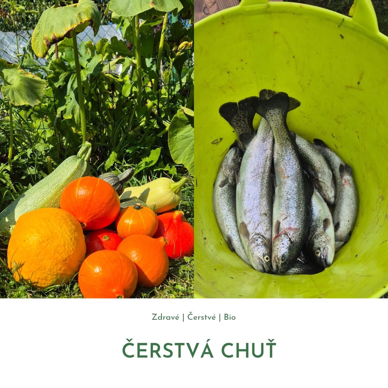 Čerstvosť a lokálnosť