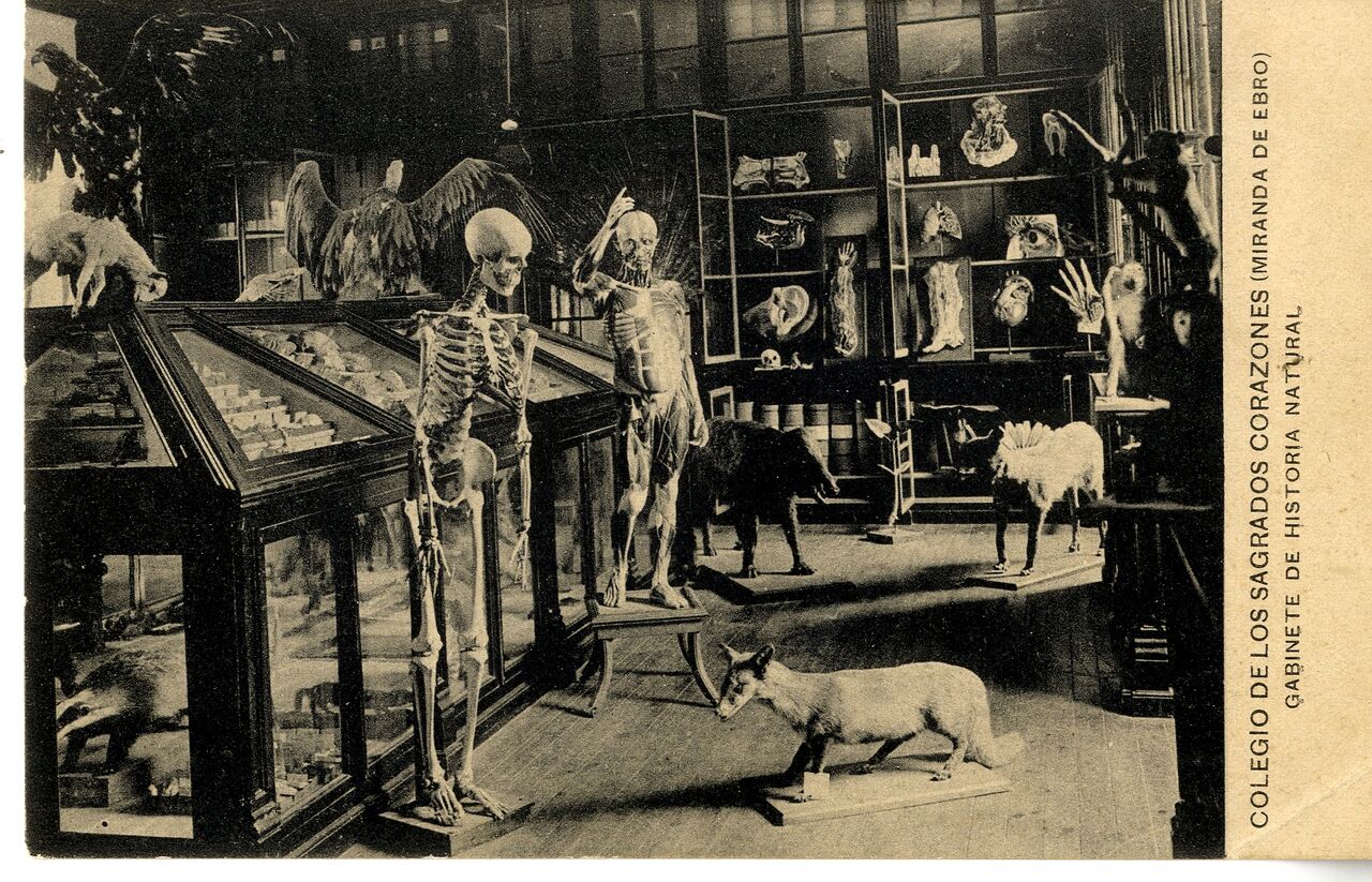 Gabinete de Historia Natural