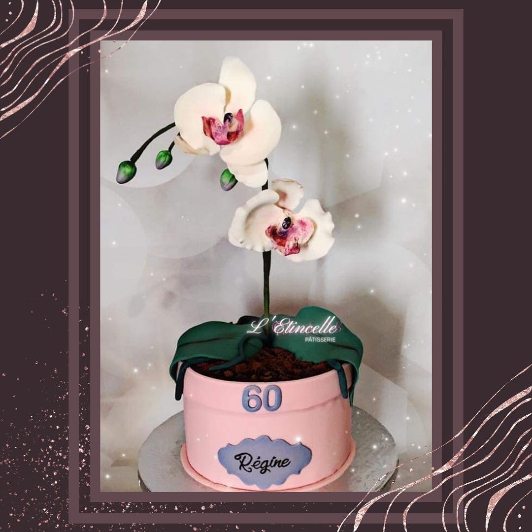 Gâteau Pot de fleurs, Orchidées en sucre