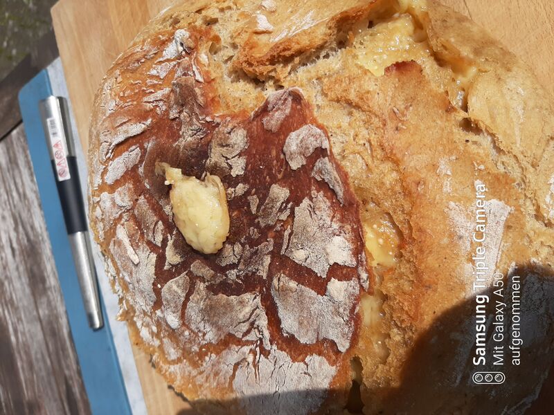 Brot mit Bergkäse gefüllt aus dem Dutch Oven