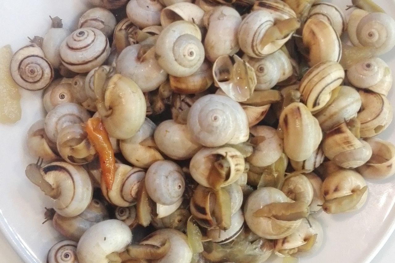 Caracóís e caracoletas