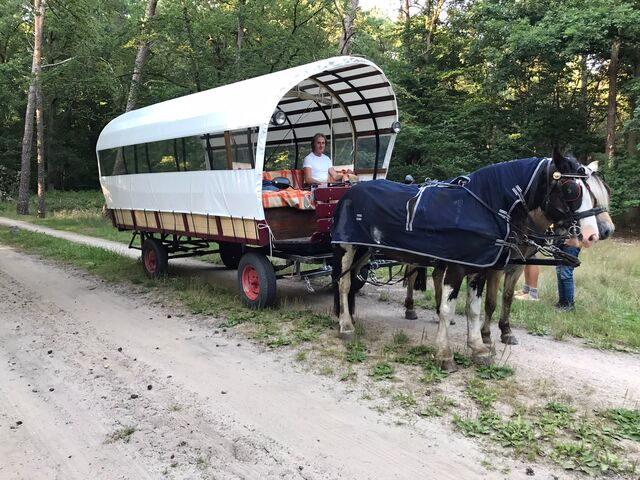 Huifkartochten voor jong en oud (maximaal 20 personen)