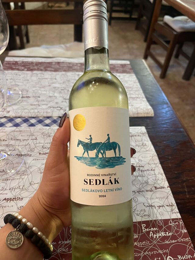 Máme širokou nabídku bílých, červených a šumivých vín