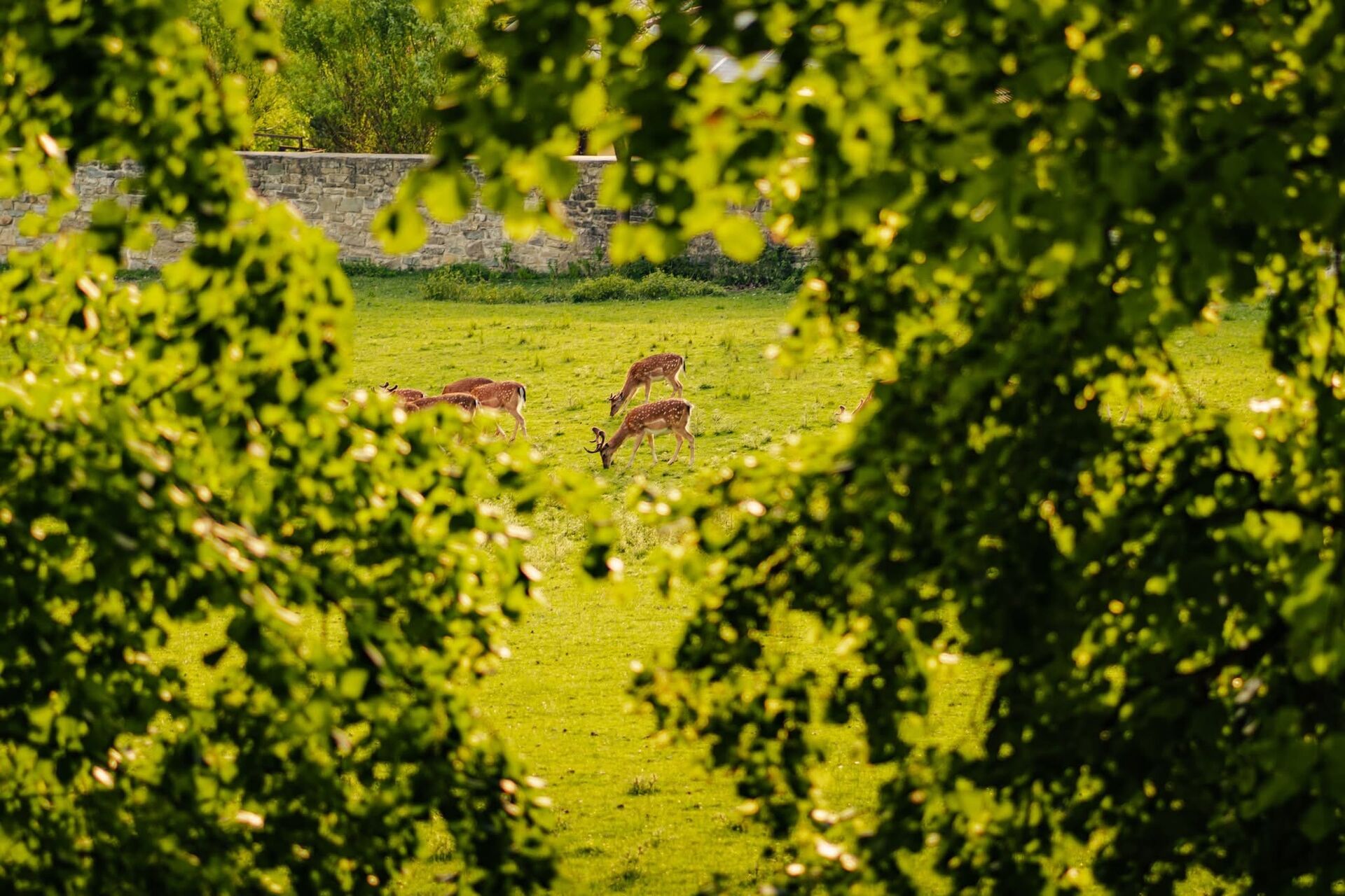 Výhled, který si zamilujete