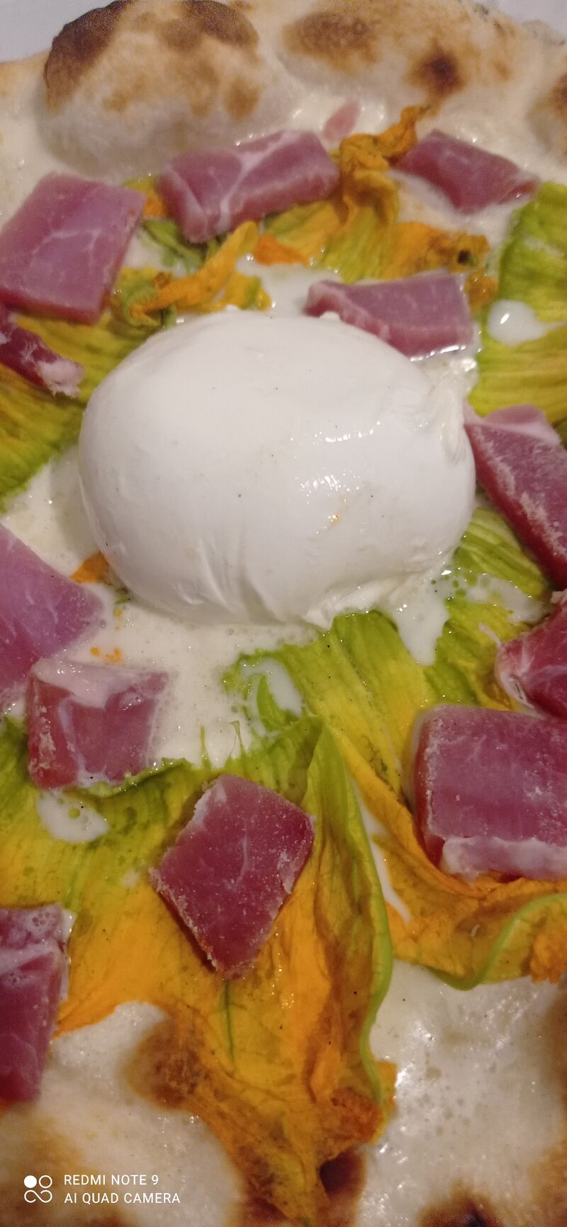 Fiori di zucca con burrata