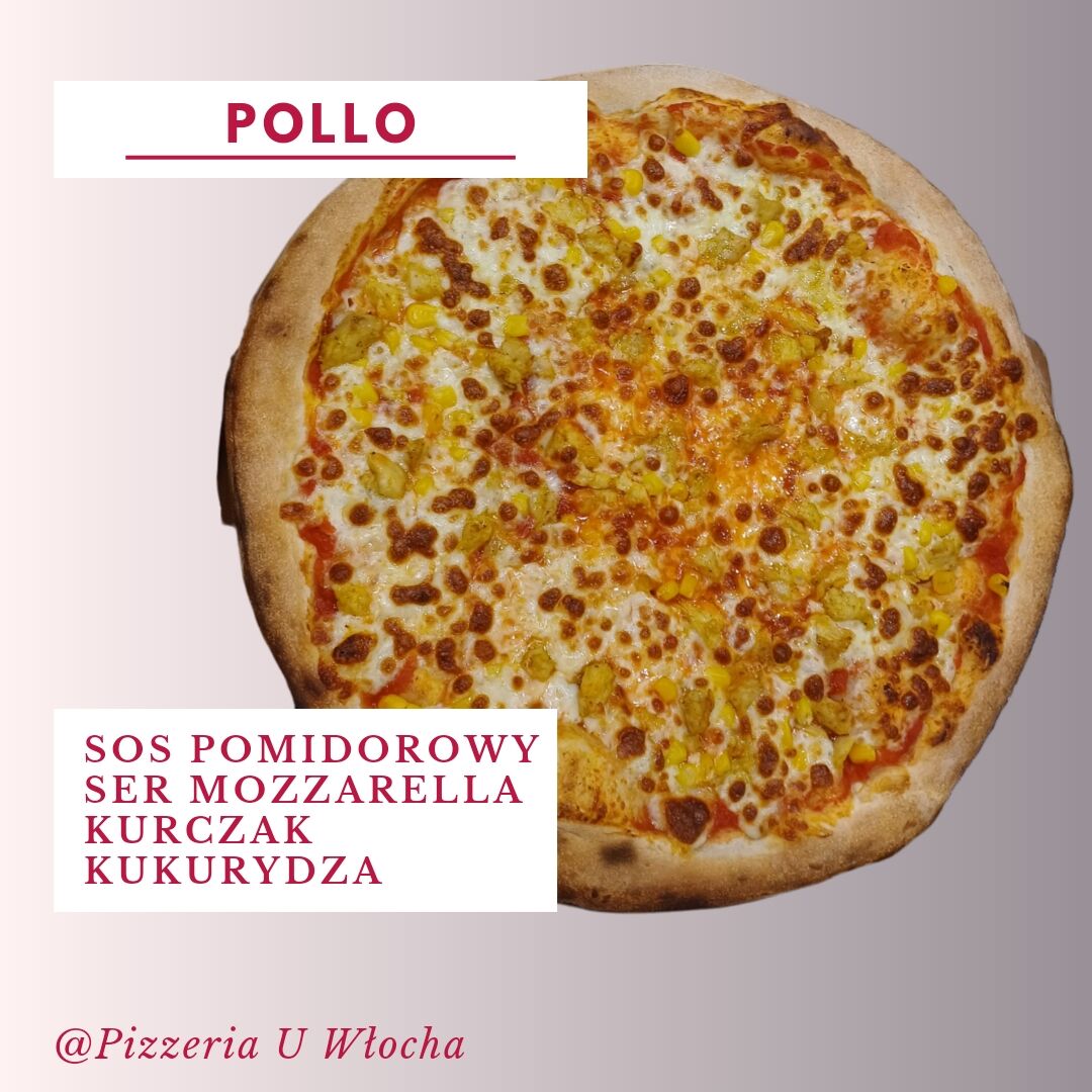 POLLO