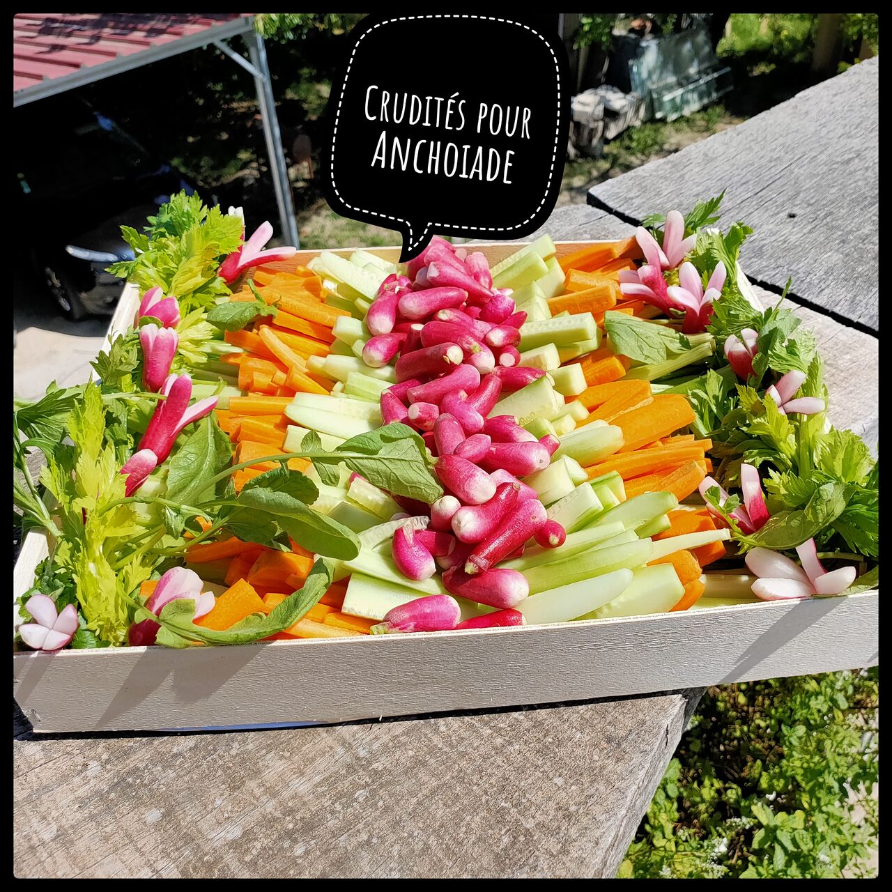 Plateau crudités - Anchoïade