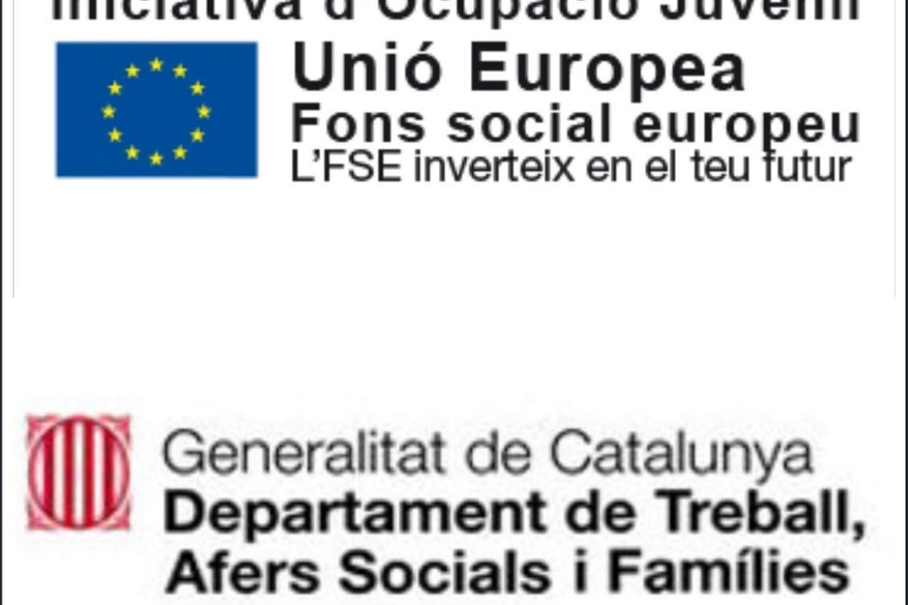 Iniciativa d’ Ocupació Juvenil