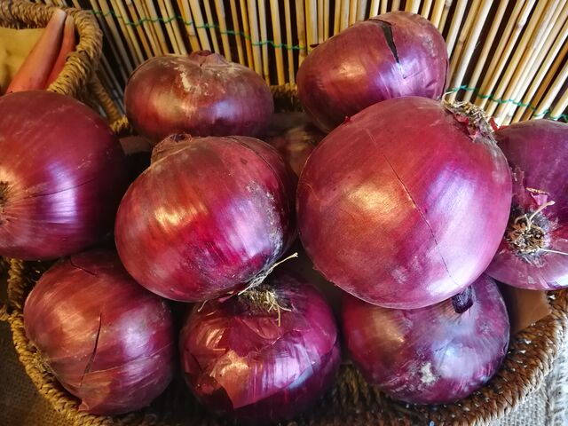 Cipolla rossa
