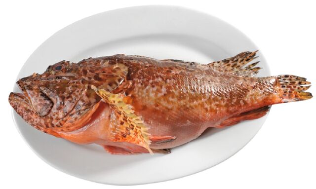 Lipsoz Balığı - Black Scorpion Fish