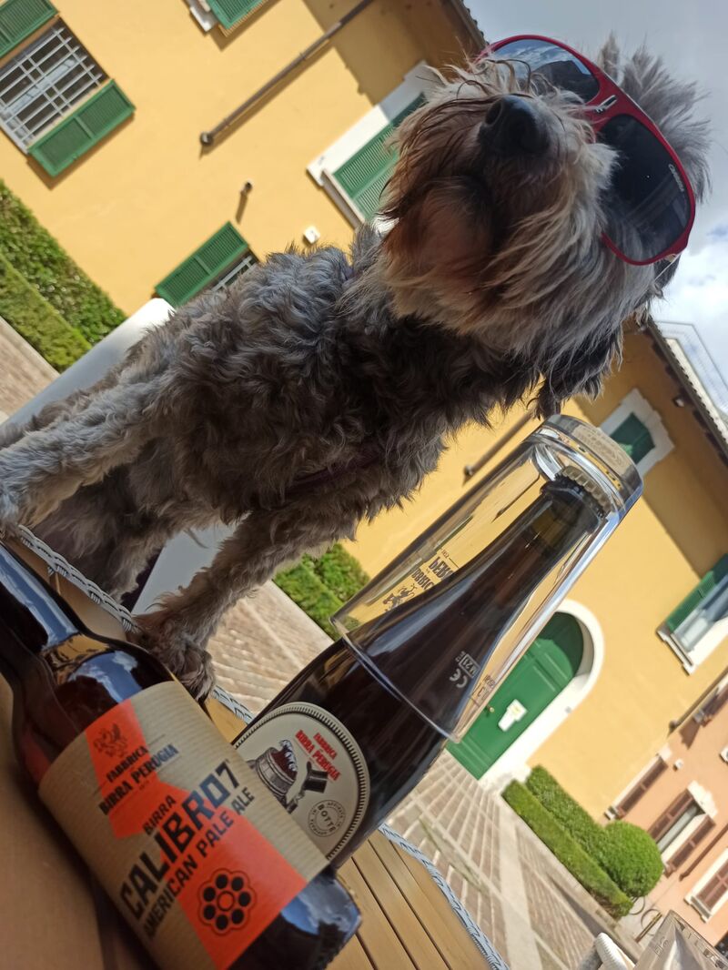Anche blacky gradisce le nostre birre artigianali