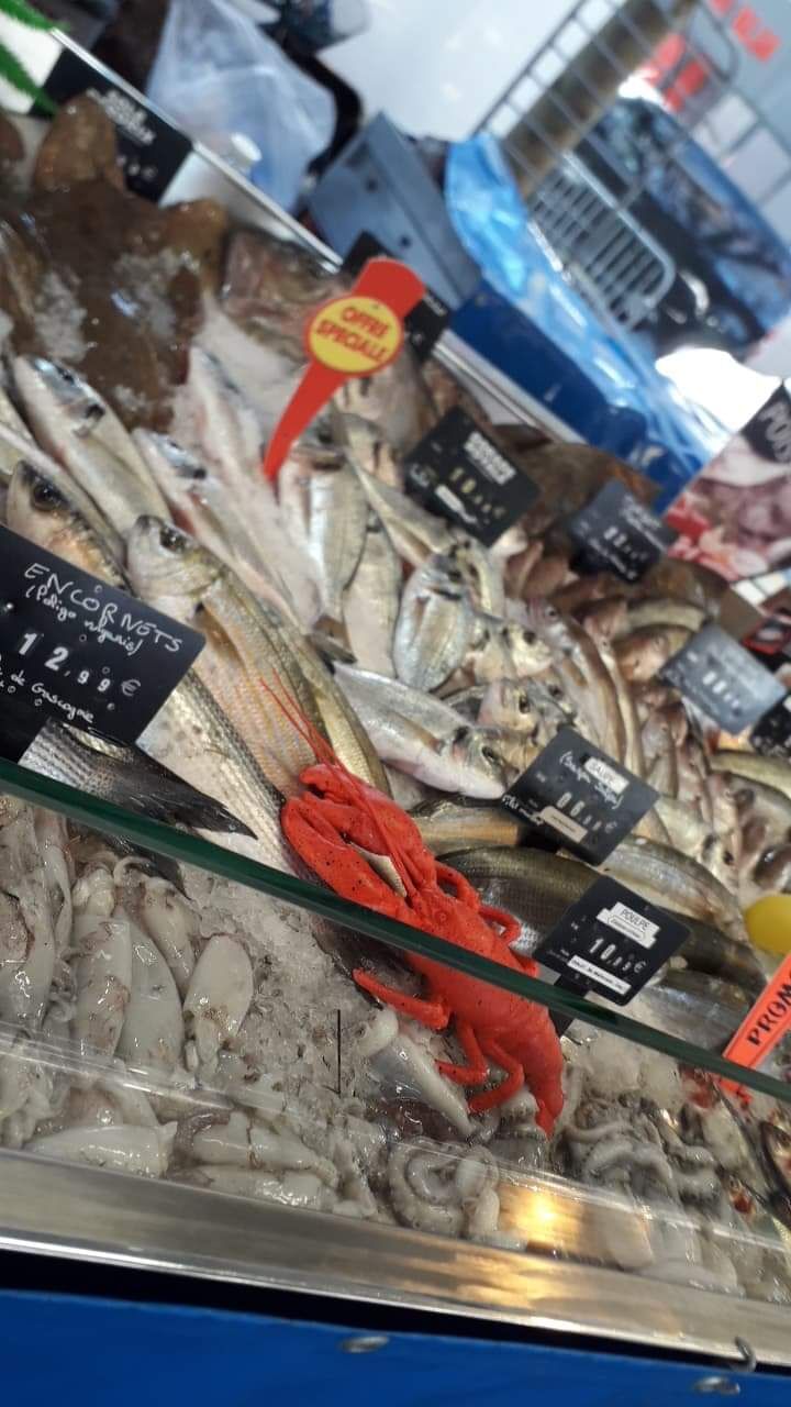 Un grand choix à votre disponibilité