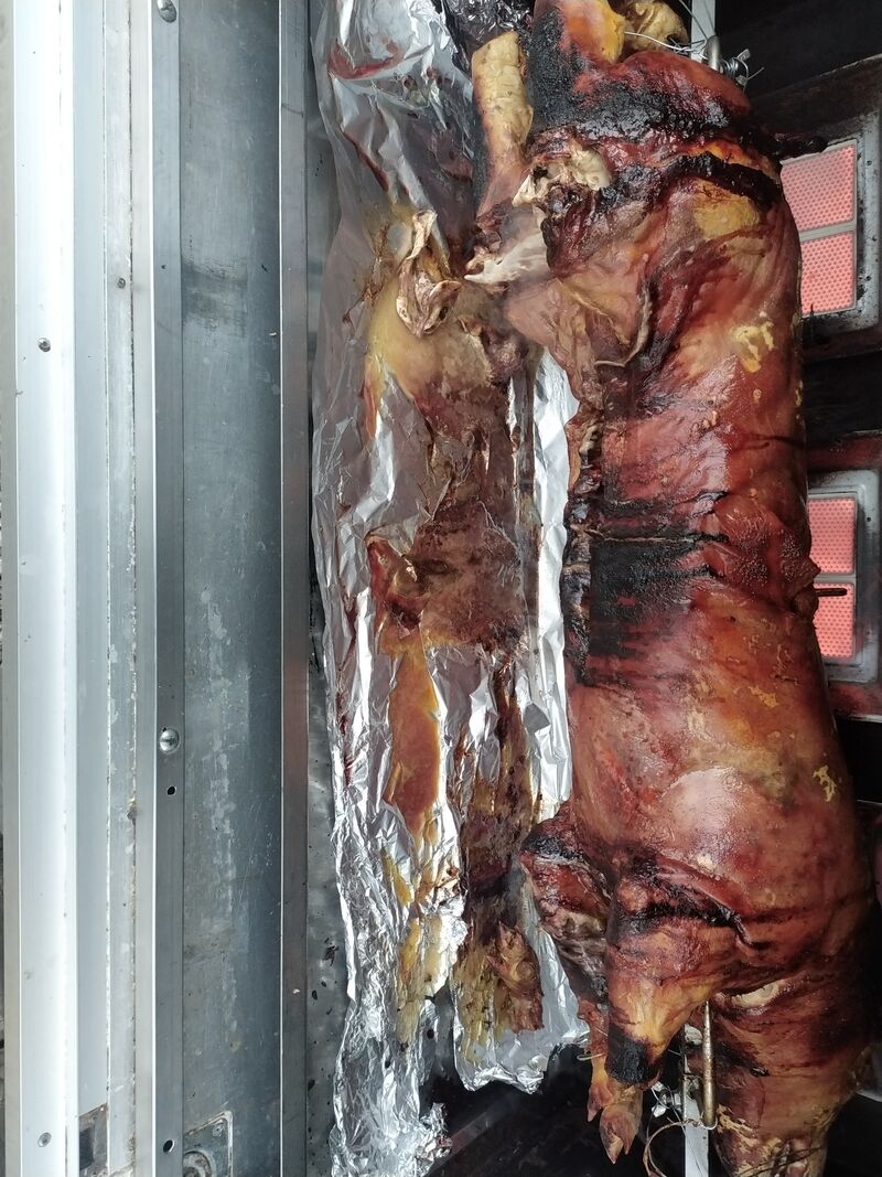 Petit cochon. 30kg