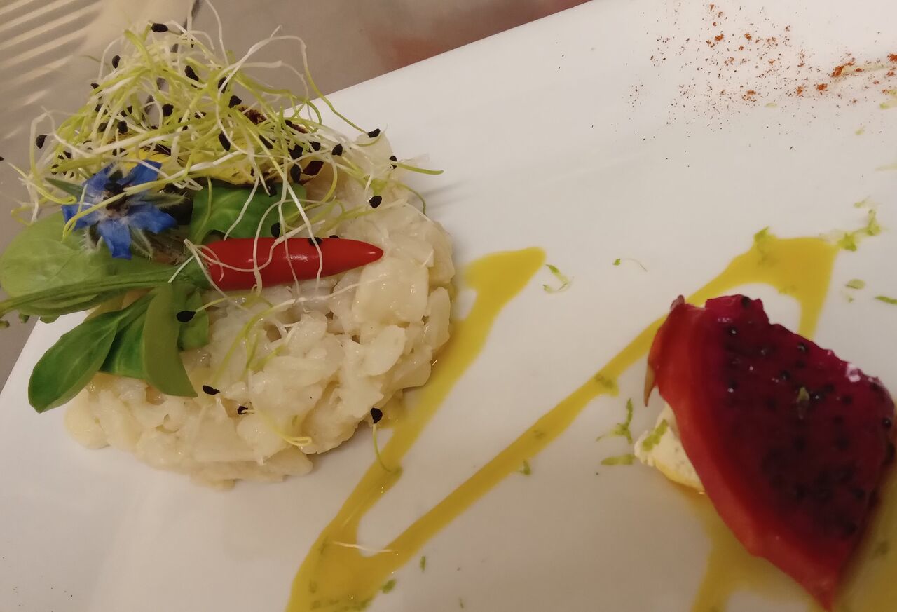 Tartare de St Jacques