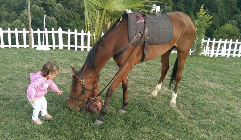 Sevginin yaşı yoktur