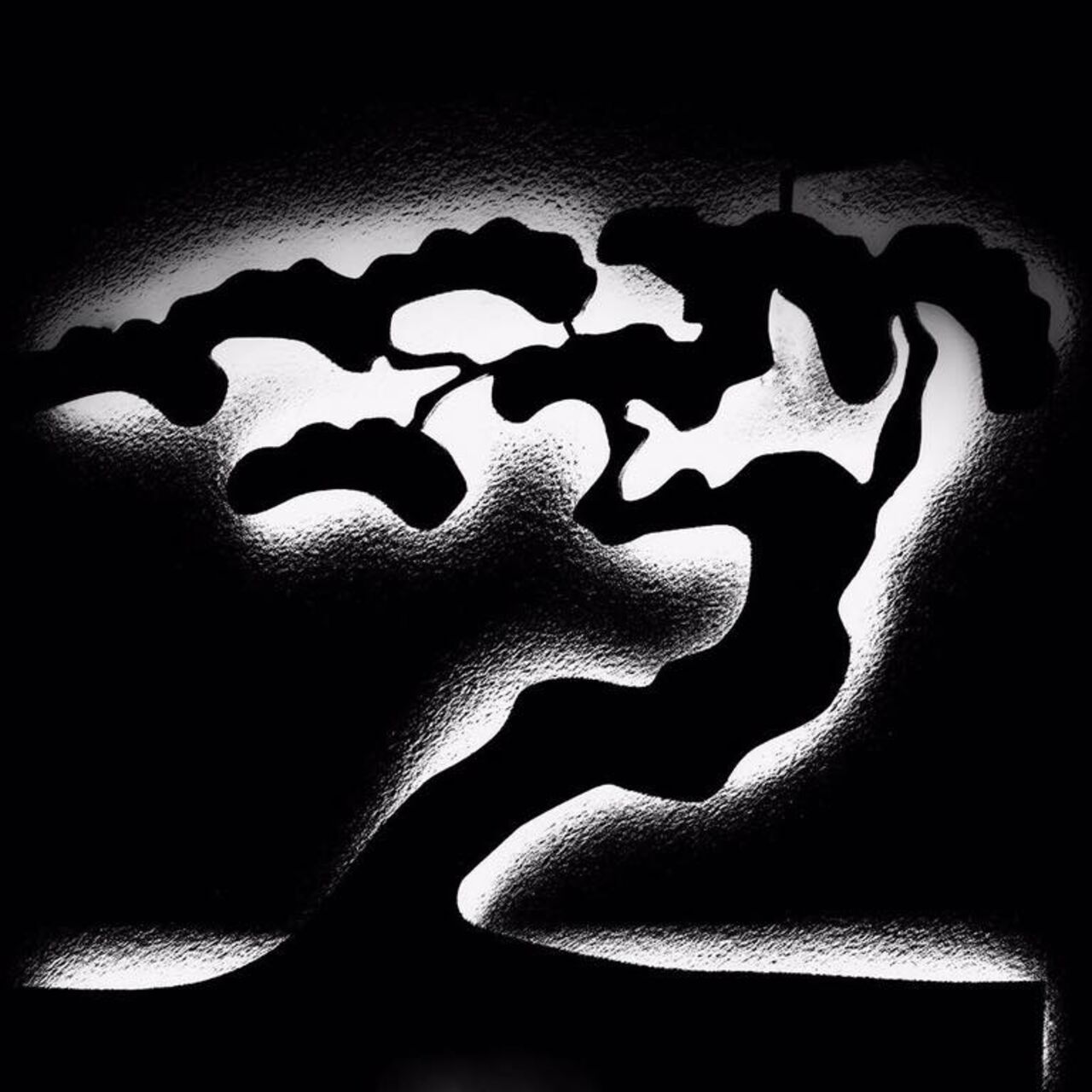 Descoperă distracția la superlativ la Zebrano!