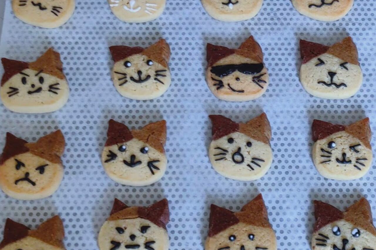Biscuits tête de chat