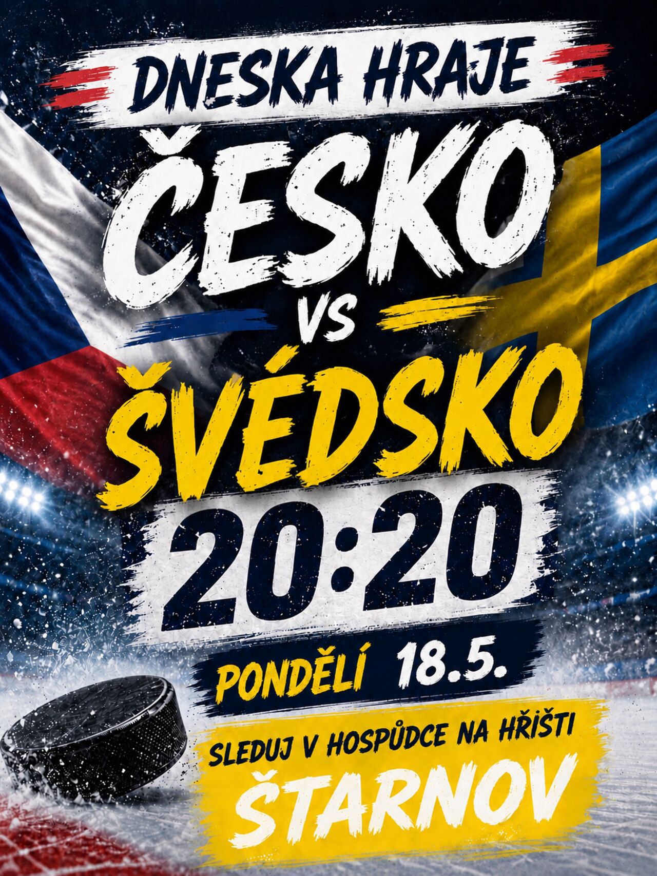 Hokejový zápas Česko x Švédsko