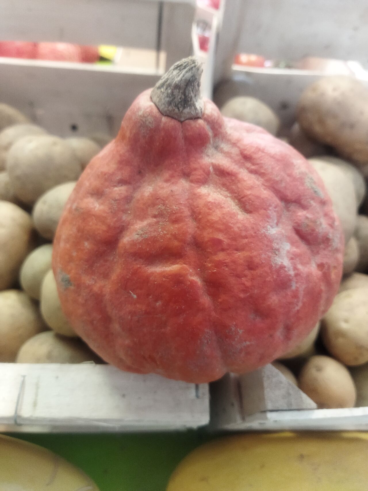 Potimarron 2.00€ kg