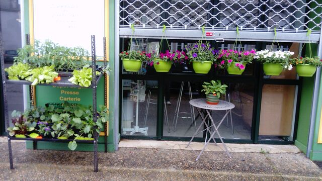 Commandez ou venez chercher vos plants de légumes : tomates; choux; courgettes; et autres
et ou vos fleurs : géranium ou autre