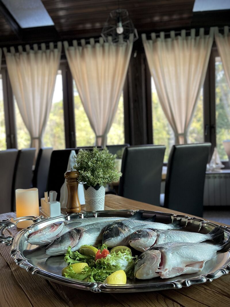 Jadranska riba
