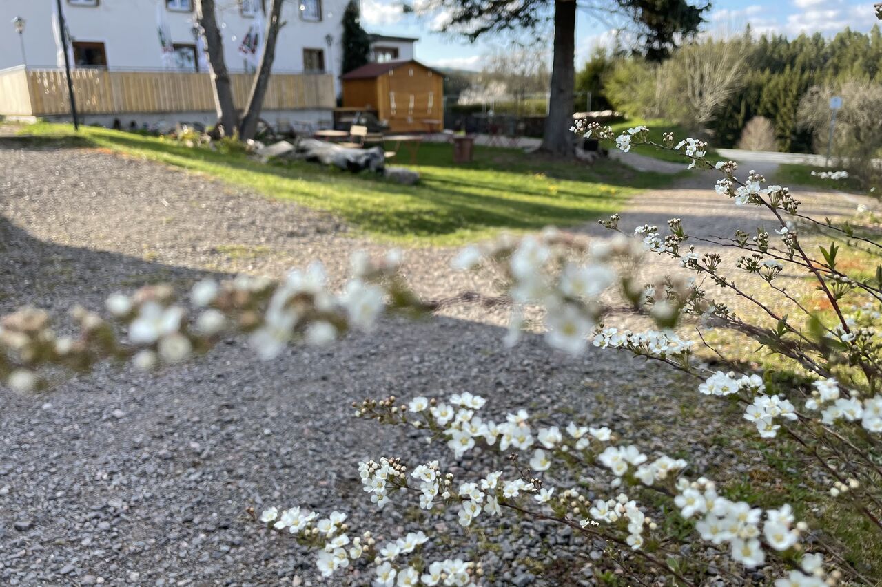 Unsere Veranstaltungen und Extras auf einen Blick 2025