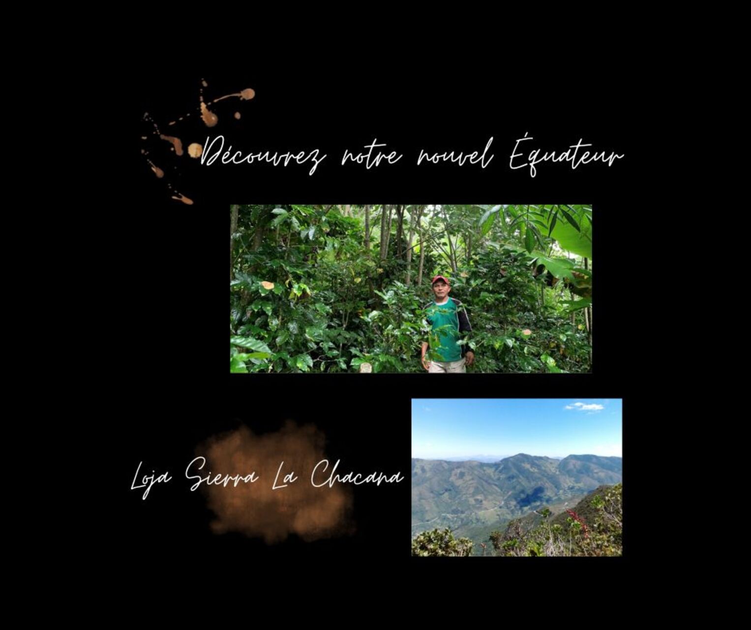 Nouvel Equateur chez AU KAWA TORREFACTION !!!!