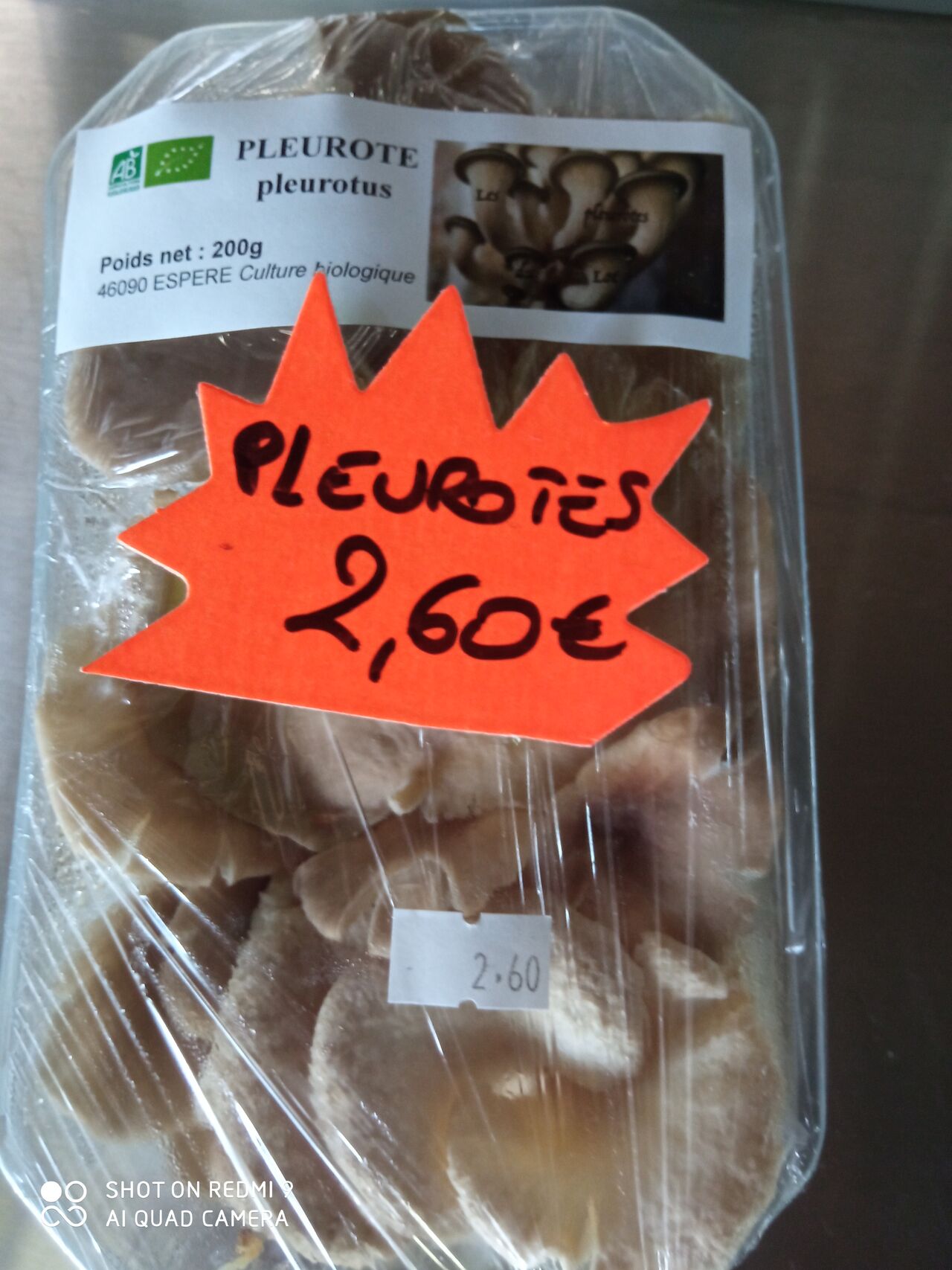Pleurotes et Shitakés d'Espère