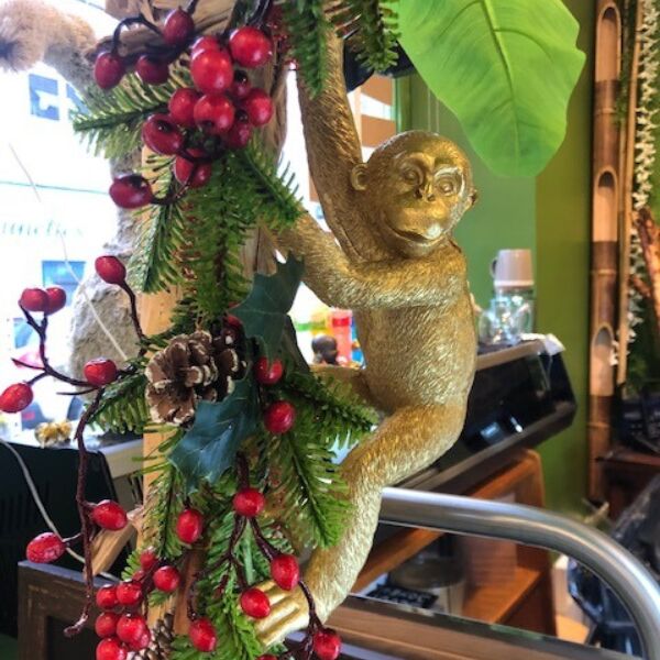 Regardez bien, nous avons des invités surprises