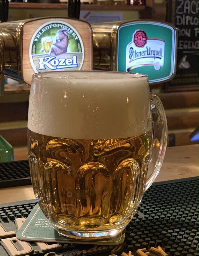 Vánoční akce na prosinec PLZEŇ 0,5 40,-