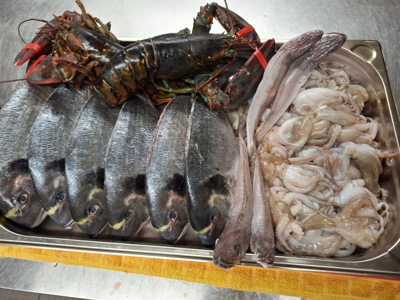 Frische Zutaten aus dem Meer