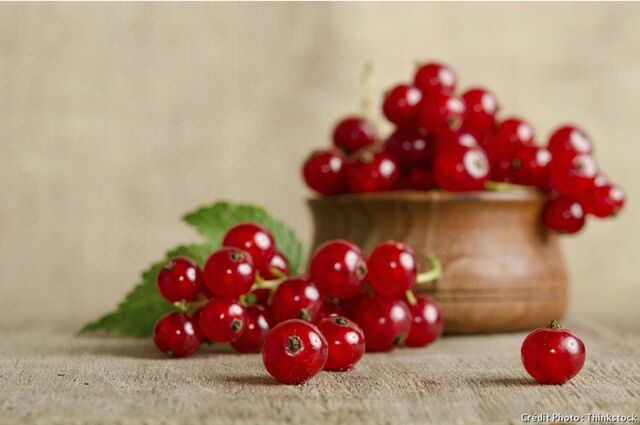 Groseilles rouges barquette - 125gr - 4,09€