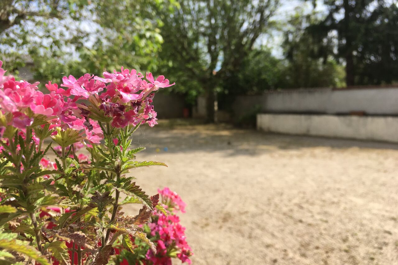 Pétanque