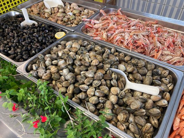 Palourdes, bigorneaux, bulots ....