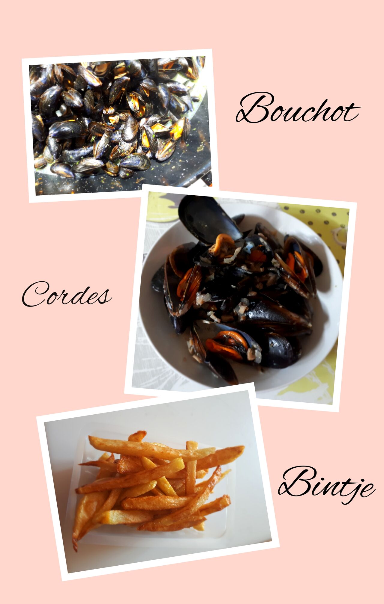 Moules marinières frites